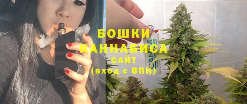 Бошки Шишки SATIVA & INDICA  как найти закладки  Биробиджан 